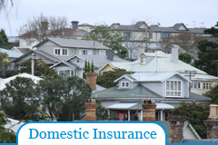 Domestic Insurance